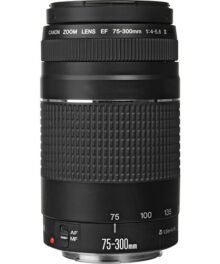 Canon EF 75-300mm f/4-5.6 III Lens