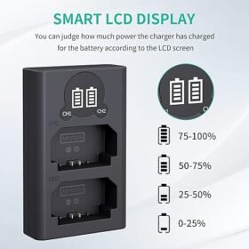Caisi Dual charger For FZ100 Battery