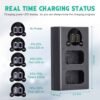 Caisi Dual charger For Fw50 Battery