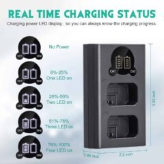Caisi Dual charger For Fw50 Battery