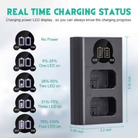 Caisi Dual charger For Fw50 Battery